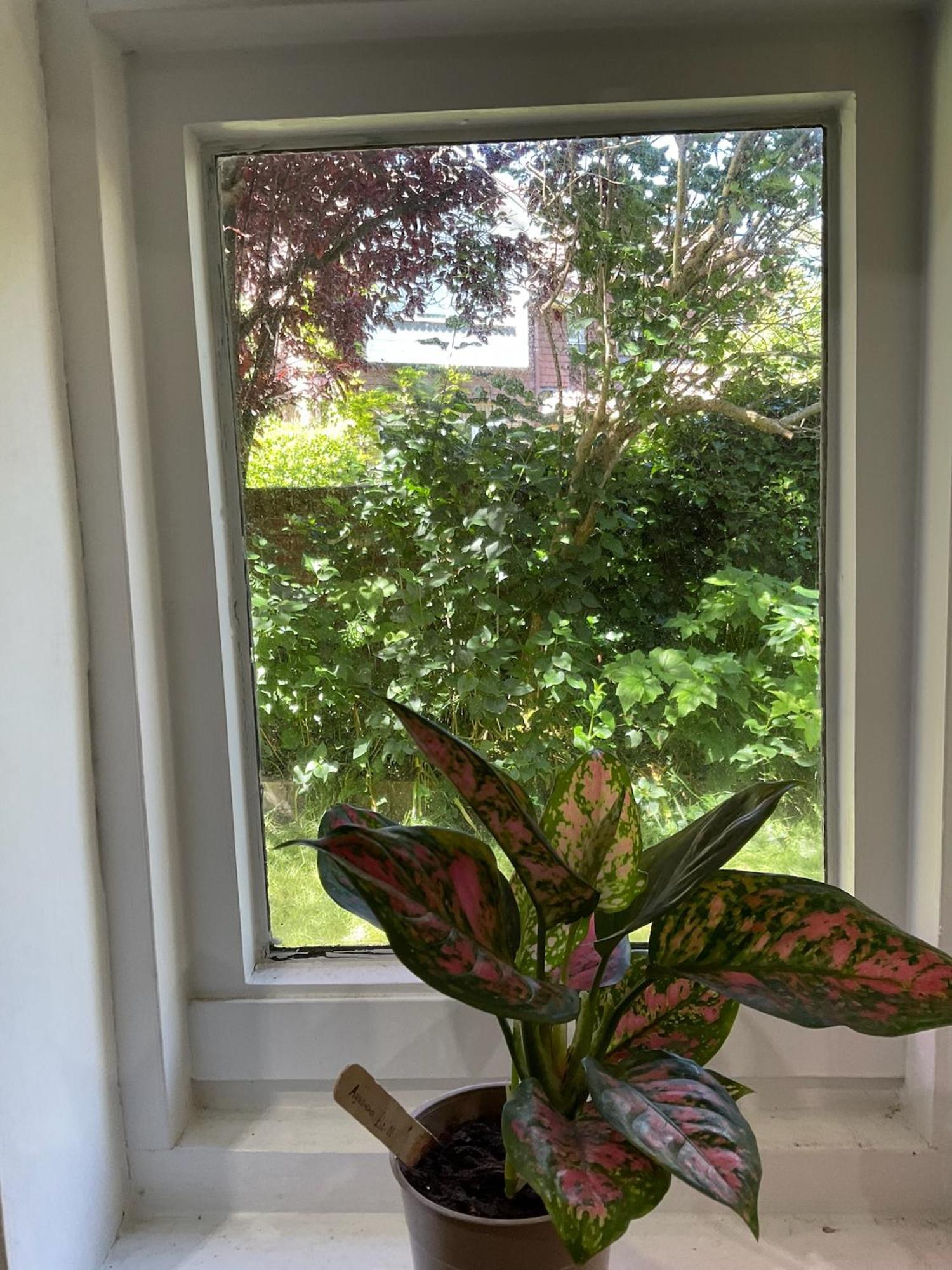 Lewes Garden Room - Free Parking ภายนอก รูปภาพ